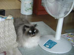 CIMG0097.JPG
