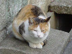 20081226.jpg