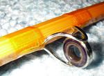 20081230.jpg