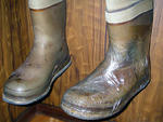 20090128.jpg