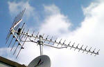 20090210.jpg