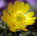 20090322.jpg