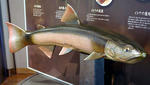 20090414.jpg