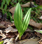 20090504.jpg