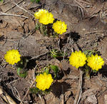 20090506.jpg