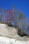 20090510.jpg