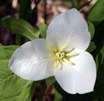 20090607.jpg