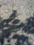 20090712.jpg