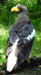 20090720001.jpg