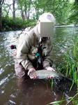 20090803001.jpg