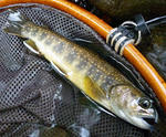 20090906.jpg