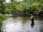 20090921.jpg