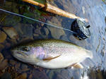 20091012.jpg