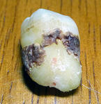 20100109.jpg