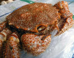 20100119.jpg