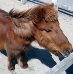 20100416.jpg