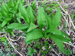 20100508002.jpg
