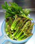 20100525001.jpg