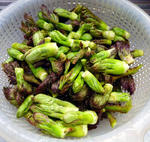 20100525002.jpg