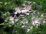 20100530.jpg