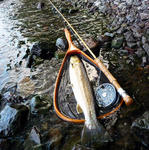 20100611.jpg
