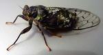 20100613.jpg