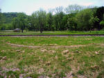 20100617002.jpg