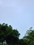 20100618001.jpg