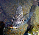 20100618002.jpg