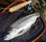 20100718001.jpg