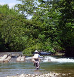 20100718002.jpg