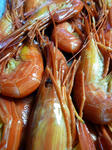 20100723.jpg