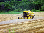 20100801.jpg