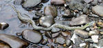 20100802.jpg