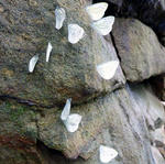20100807.jpg