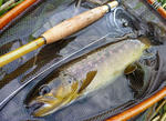 20100821002.jpg
