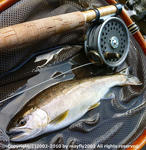20100905001.jpg