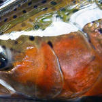 20100920002.jpg