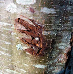 20101018002.jpg