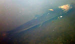20101030.jpg