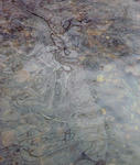 20101114.jpg