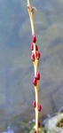 20101214001.jpg
