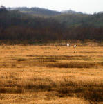 20101214002.jpg