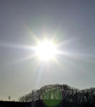 20110108.jpg