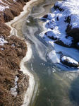 20110109.jpg