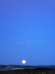 20110125.jpg