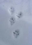 20110214001.jpg