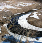 20110310001.jpg