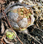 20110318001.jpg