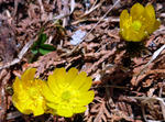 20110320001.jpg
